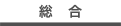 総合