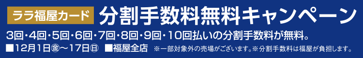 分割手数料無料キャンペーン