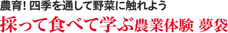 採って食べて学ぶ農業体験 夢袋